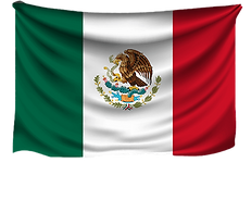 Mexican beer